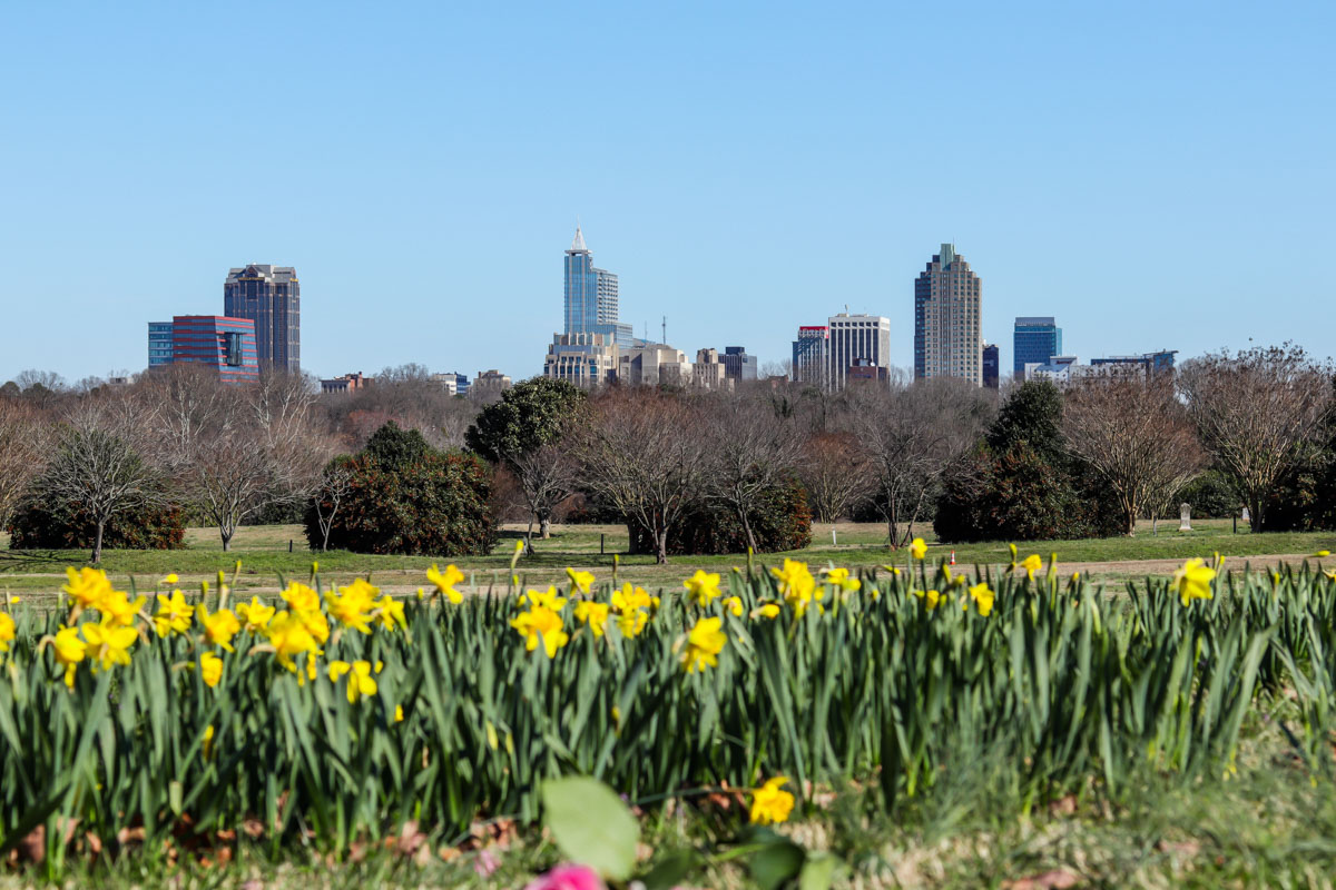 Dix park is one of the best things to do in downtown raleigh